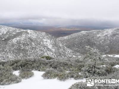 Hayedo de Pedrosa - Parque Natural Sierra Norte de Guadalajara - Hayedo de Tejera Negra